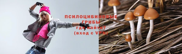 дживик Нефтекумск