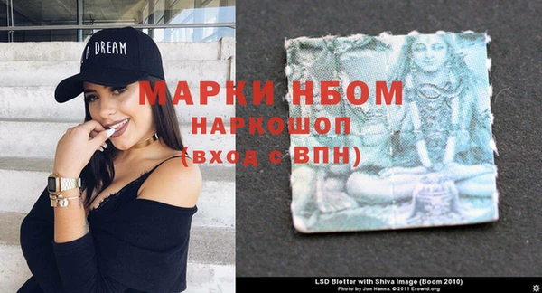 дживик Нефтекумск