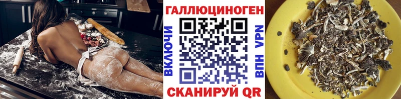 дарнет шоп Райчихинск Псилоцибиновые грибы ЛСД